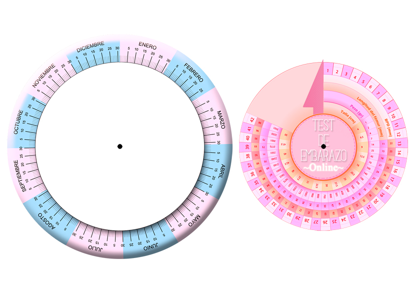 Gestograma o ruleta embarazo