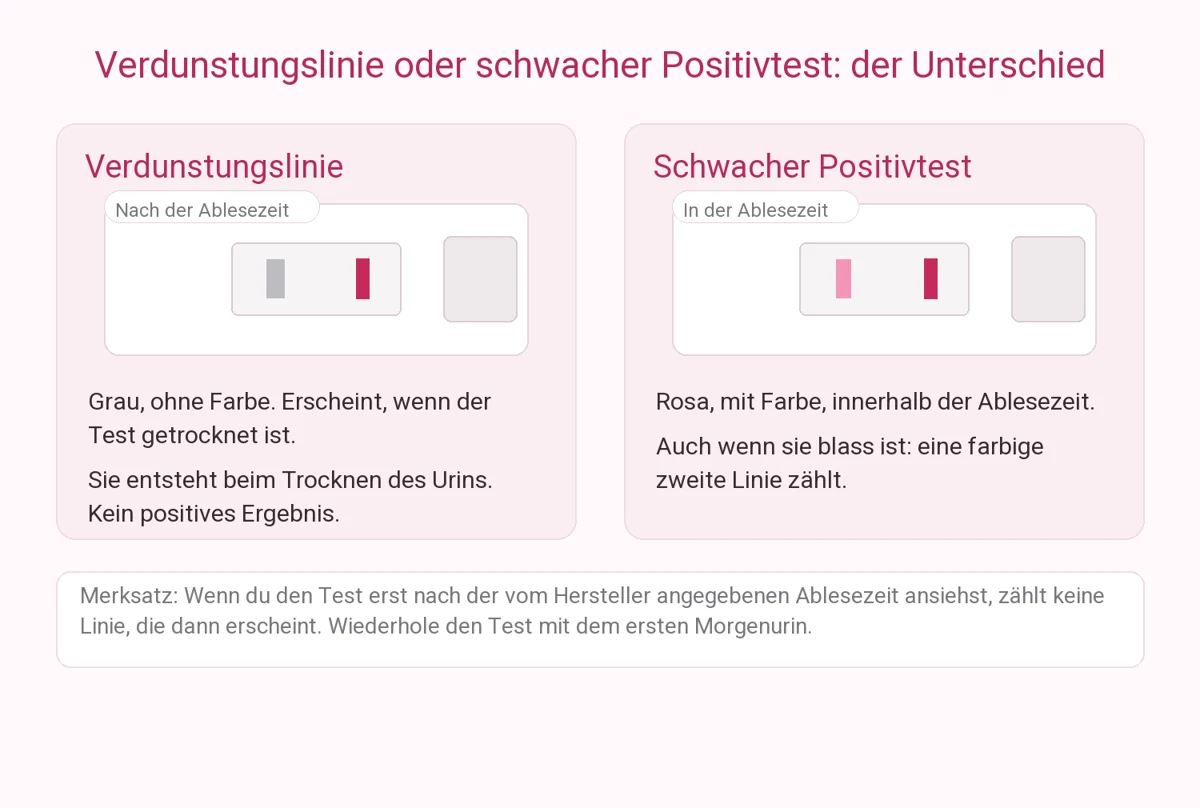 Schema-Vergleich: Verdunstungslinie gegen schwachen Positivtest